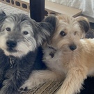 ジャスミン＆チェルシー