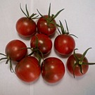 ナニワのヒッキー