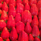 株式会社ライズ