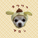 マロンの飼い主