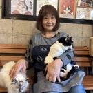 保護ねこカフェ　にゃおん  