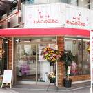 わんこの足あと