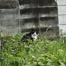 🐲チャッピー🐲