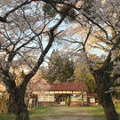 添谷集落区長　神庭忍