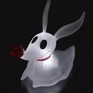 カドワキシゲル