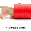 チャーミー山嵜