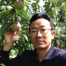 オホーツクのりんご屋