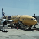 推しの子応援者