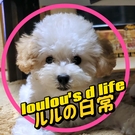 @loulousdlife