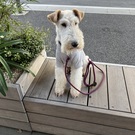 三浦 ワンダーママ