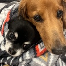 *̣̣̥⑅⃝︎*॰ॱ͈♡⃝︎mAriKoॱ͈॰* ⑅⃝︎*̣̣̥