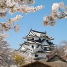 滋賀県彦根市観光文化戦略部文化財課