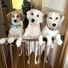 アクア.アネラ.マカナ