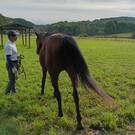 ノーザンレイク