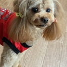 ゆむパパ＆ママ