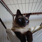 ラムネくんは今日もかわいい