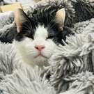 ティピーが幸せで嬉しい