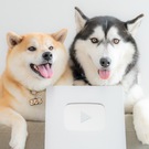 もちごめ兄弟チャンネル