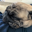 瀬戸･粂内　美穂