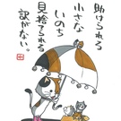 ねこ達のいえ