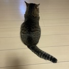 FIREしたい消防士