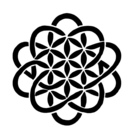 アミュレットプラス合同会社（代表 横木 広 ）