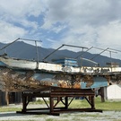 𝒀𝒐𝒔𝒉𝒊𝒌𝒐