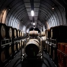 おっちょこぬし