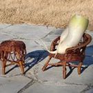 Lz9kRew67NMyMmjVjteb