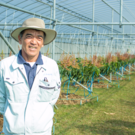 那覇マンゴー園　那覇 靖