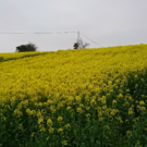 四日市サウスストロング（土谷　信幸）