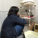 中野静華（保護猫カフェ ビアンカナイツ）