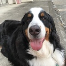 海斗のかぁかん