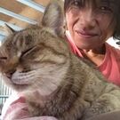 スイカ屋の女房