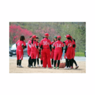 羽島レディース（女子ソフトボールチーム）