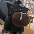 馬好き息子の母