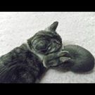 こんどう ゆきこ