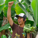 石田 守（一般社団法人稲沢バナナ園）