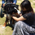 かじもと　みわ