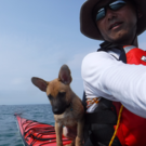 オートキャンプ森のかわなべ 管理人