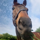 いんぱるす宮内