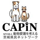 認定NPO法人 CAPIN 代表：坂本真子美