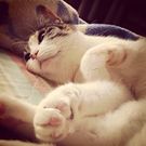 亀岡亜希子Akiko Kameoka