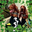 むうむう あるある