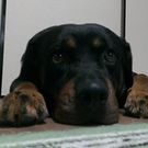 Kaho Fujii-Matsubara