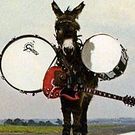 HAMABLUE Press 芥川和久