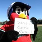 ちば 九郎丸 宣親