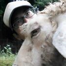 跡市ひつじ牧場  石井 裕介