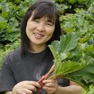 エンジェル 千代子