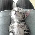 おだしま ひさこ